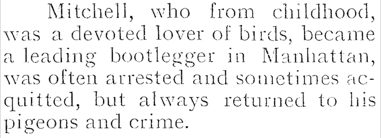Story about Linky Mitchell and his birds
 "End of Notorious Gangster." Daily Mail Atlantic Edition, 24 May 1928, p. 7. Daily Mail Historical Archive, 1896-2004