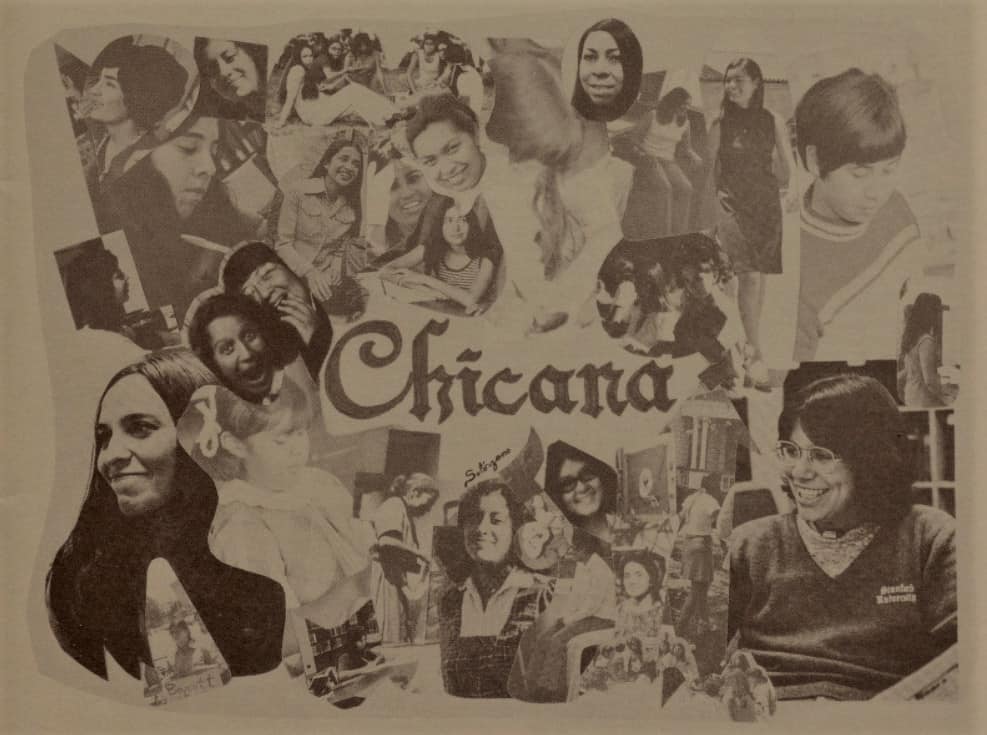 Chicana Women Montage.
Click the link to access document transcript.