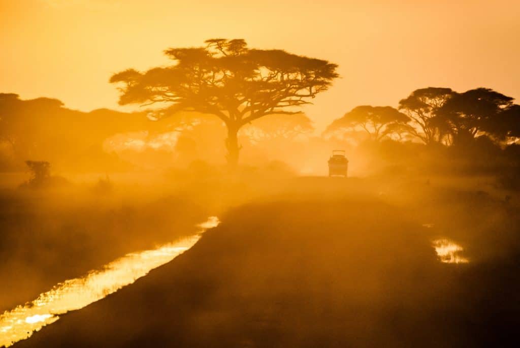 The safari at dusk.

