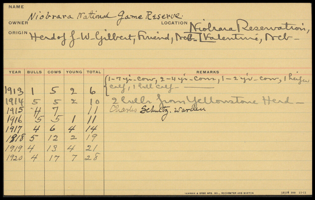 Correspondence by Subject: Census Replies, Census Cards, N; O. 1900s-1920s. 