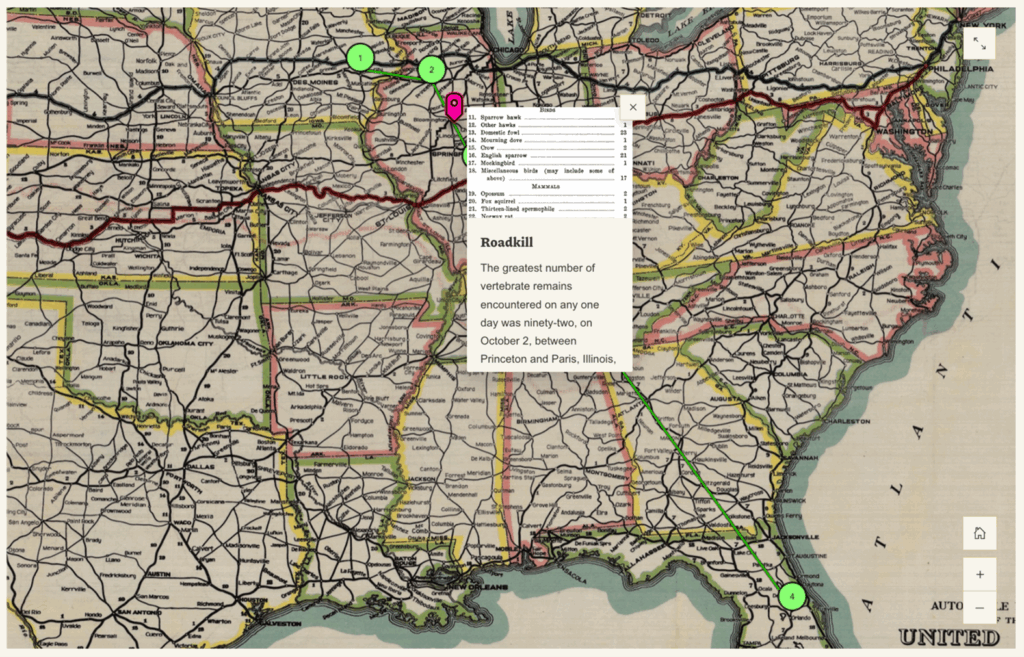 Historical infographic of the first two road trip made by Dayton Stoner to count roadkill in 1924 and 1928