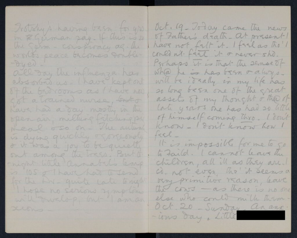Journal: Isabel mentions the death of her father, and influenza.